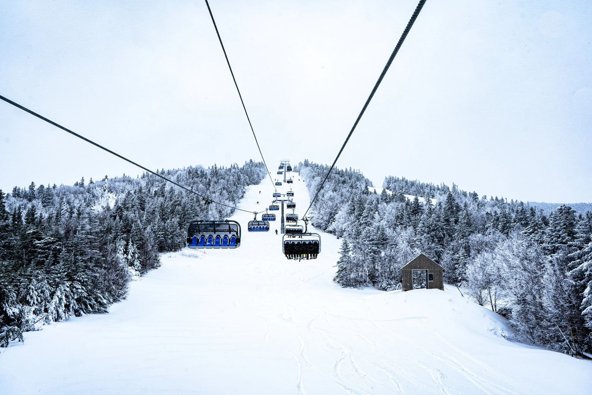 Chairlift rising up a snowy ski run lined with snow-covered evergreens